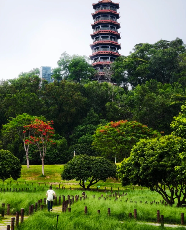 shenzhen scams shenzhen scams