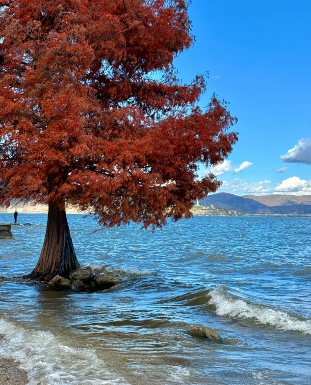 Dali winter travel guide