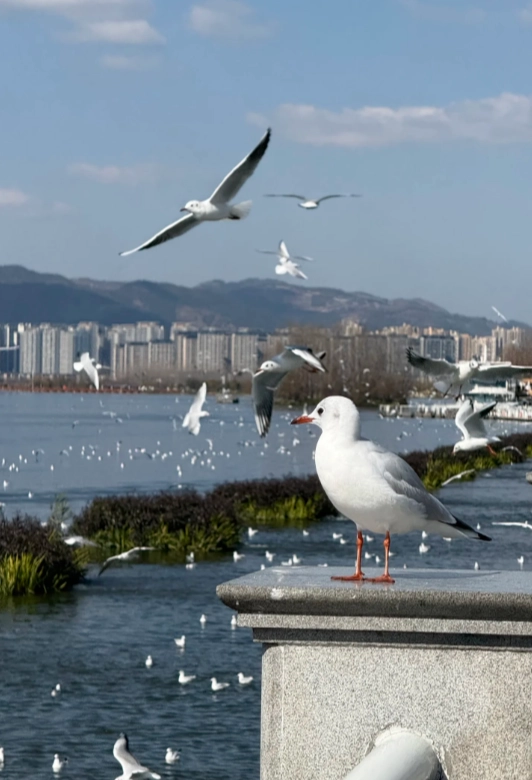 Kunming travel guide