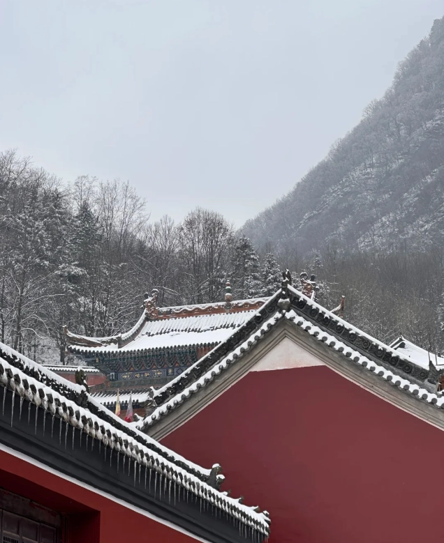 wudang mountains travel tips