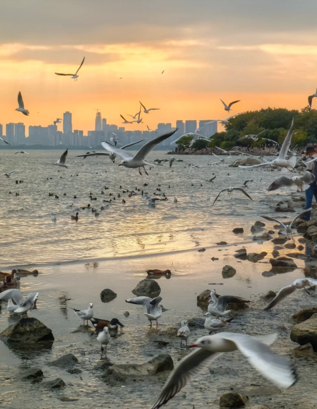 shenzhen attractions
