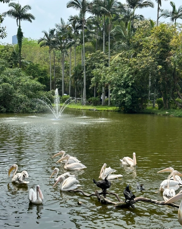 family vacation shenzhen