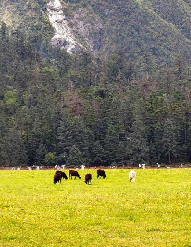 Free things to do in Lijiang Free things to do in Lijiang