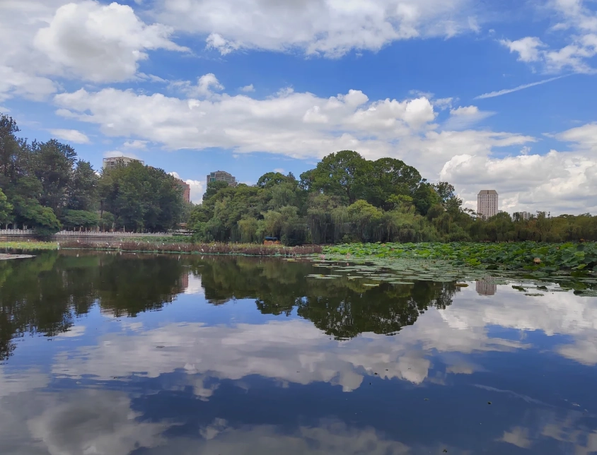 Kunming travel tips: 7 Insider Secrets for a Smooth First Visit