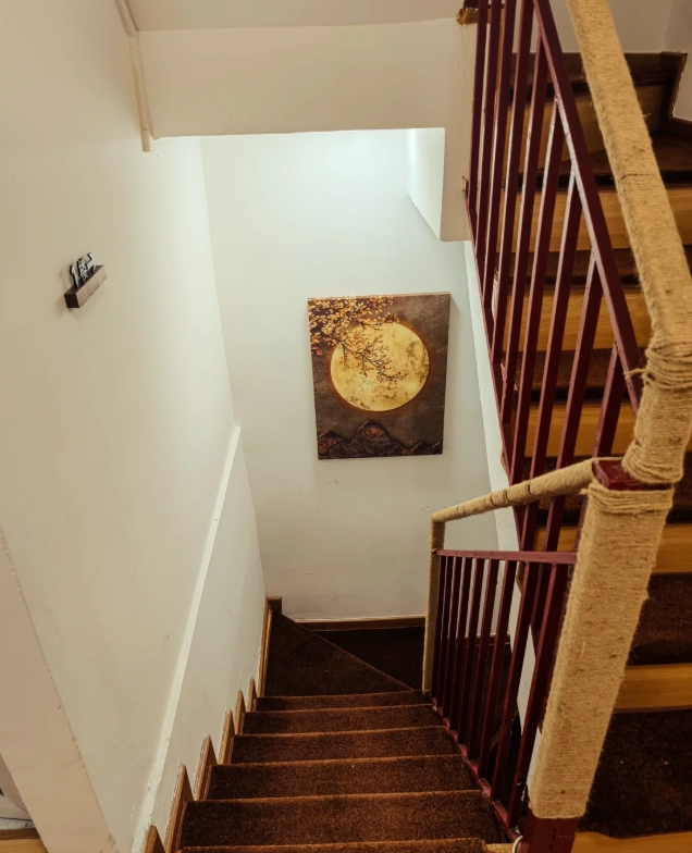 backpacker hostels Shenzhen