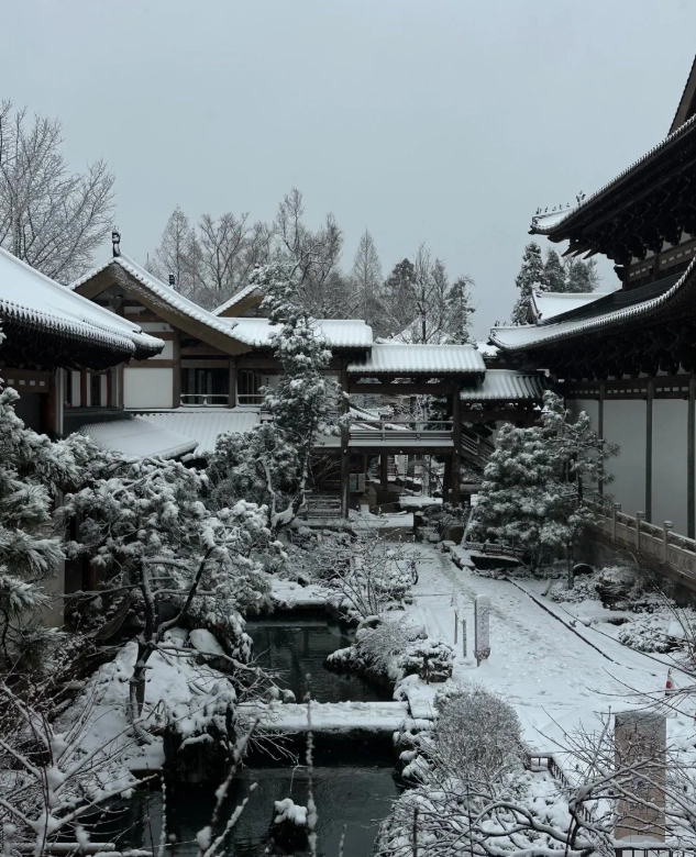 winter things to do in Hangzhou winter things to do in Hangzhou