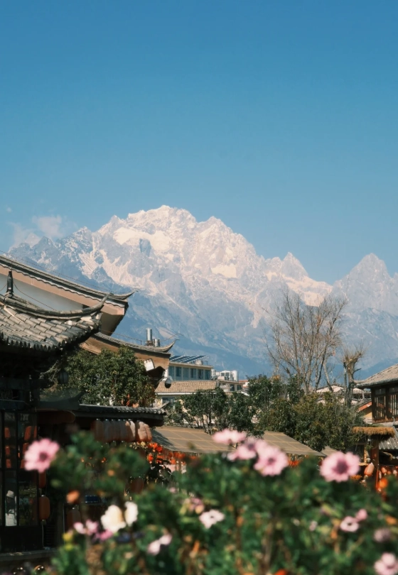 lijiang old town safety lijiang old town safety