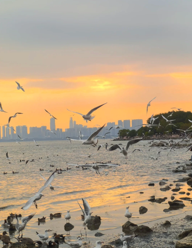 shenzhen itinerary