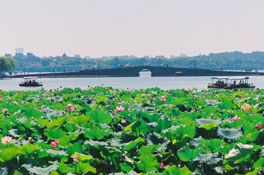 Zhejiang 240 hour visa Zhejiang 240 hour visa