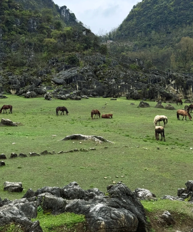 Anshun attractions