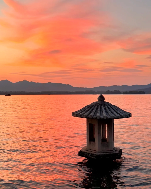 hangzhou cherry blossom