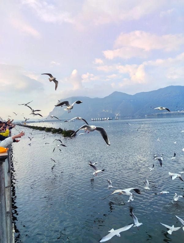 Kunming visa-free travel Kunming visa-free travel