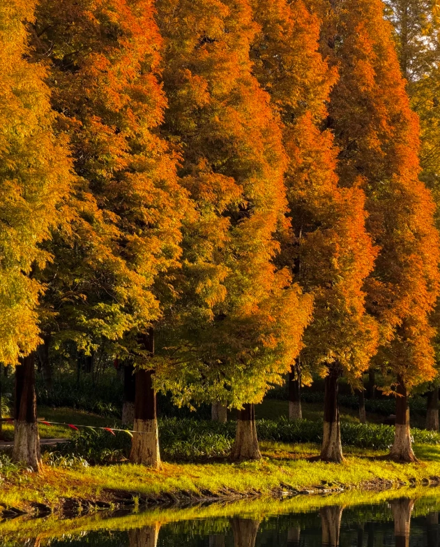 Yunnan autumn travel Yunnan autumn travel