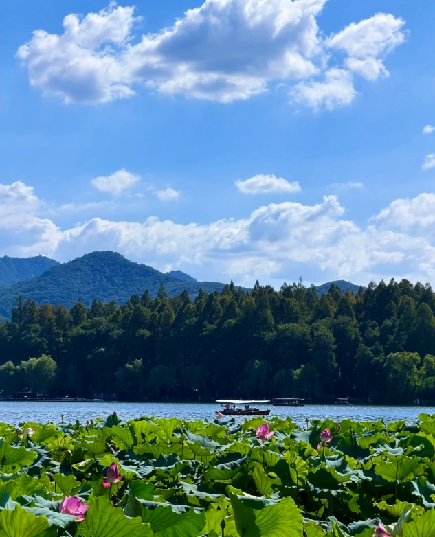 Hangzhou travel tips