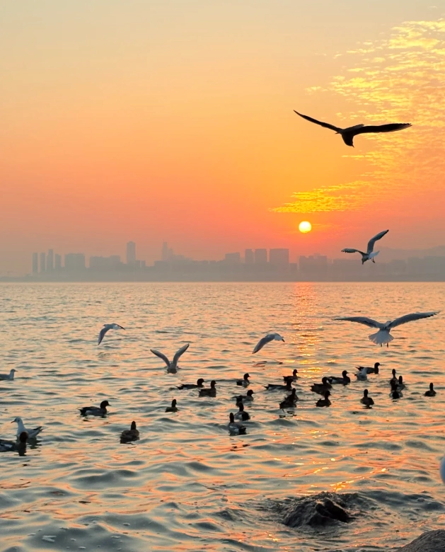 Shenzhen winter travel Shenzhen winter travel