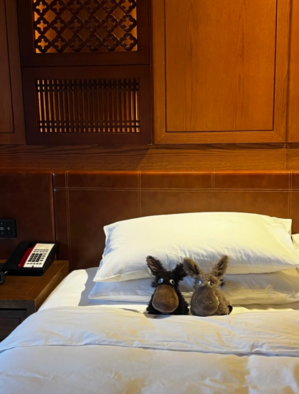 Lijiang guesthouse guide Lijiang guesthouse guide