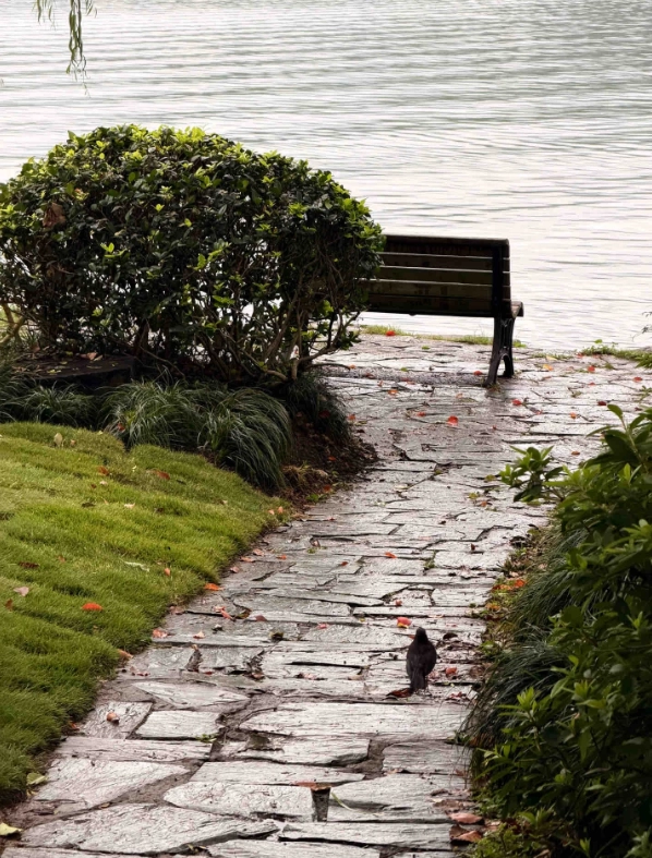 things to do in hangzhou things to do in hangzhou