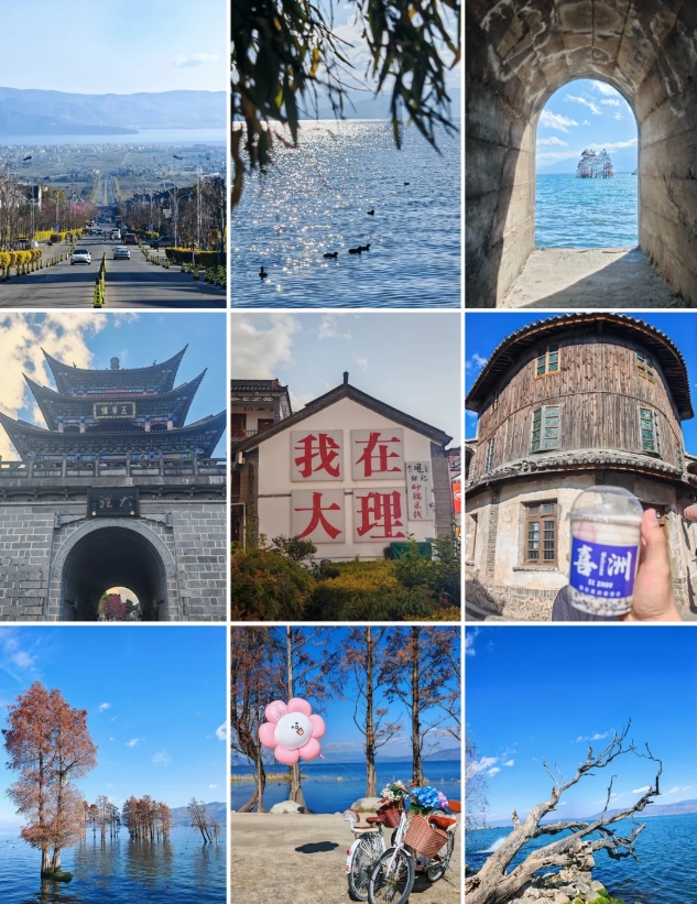 dali 240 hour visa free dali 240 hour visa free