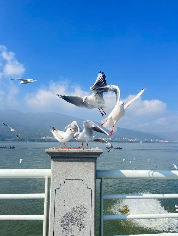 is kunming safe for tourists