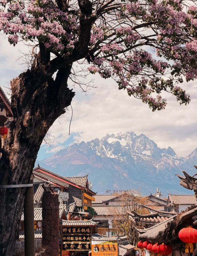 Lijiang travel tips Lijiang travel tips