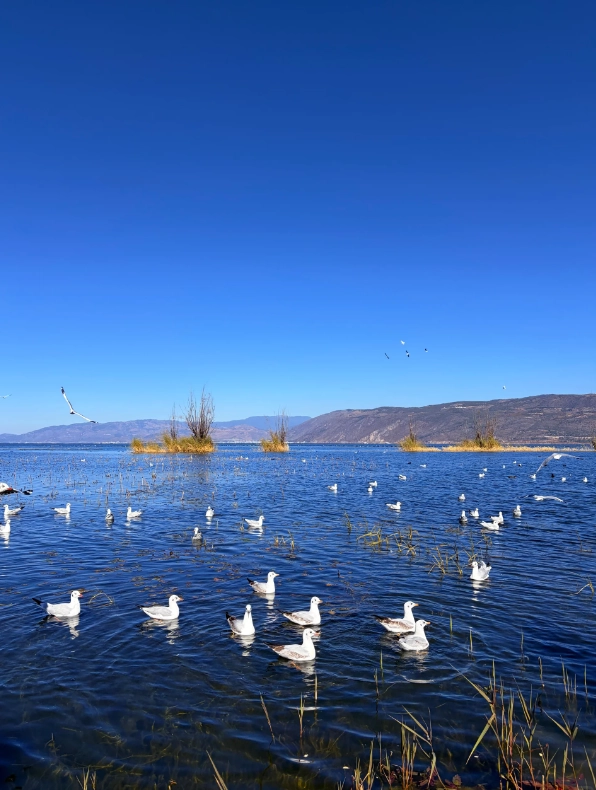 dali itinerary 10 days dali itinerary 10 days