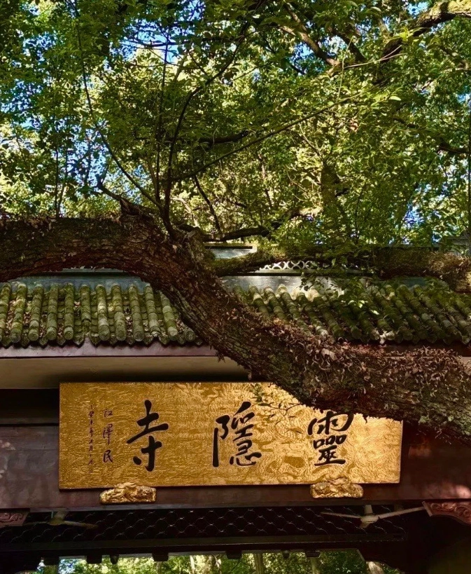 hangzhou spring itinerary