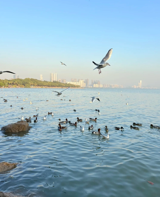 Shenzhen 3 day itinerary Shenzhen 3 day itinerary