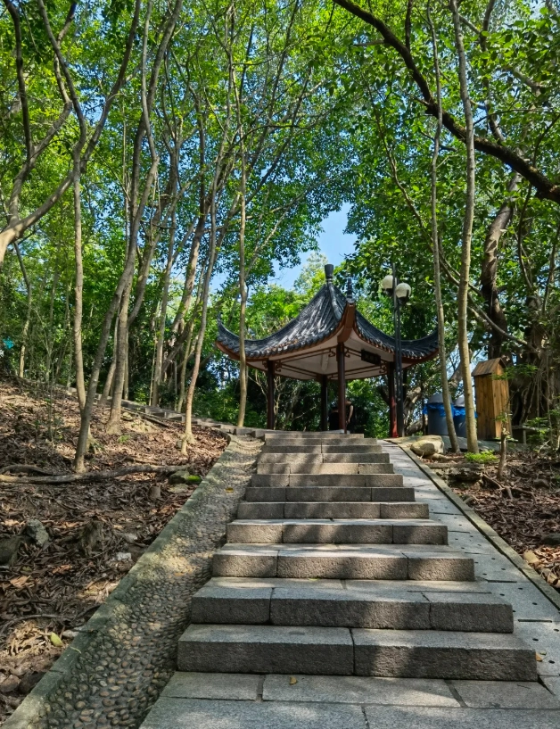 shenzhen 2-day itinerary