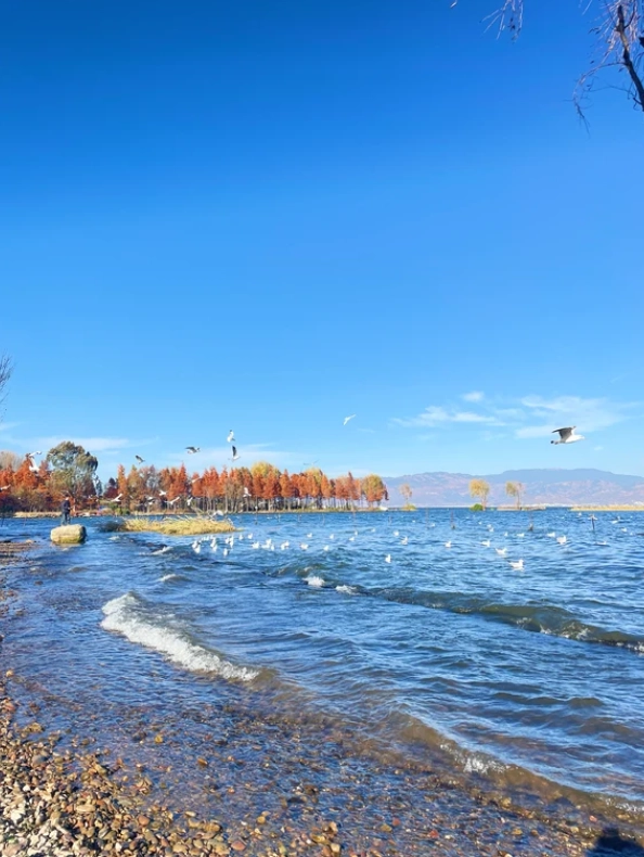 Dali old town Dali old town