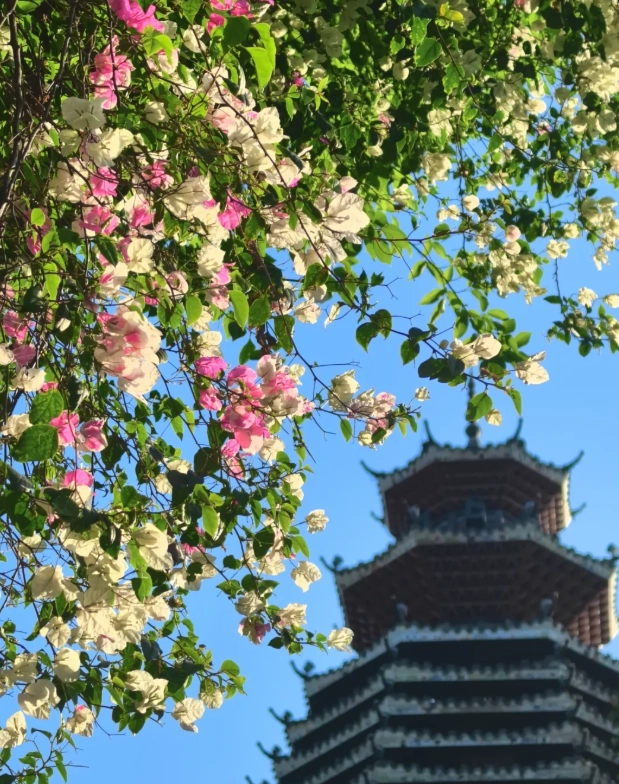 things to do in Shenzhen