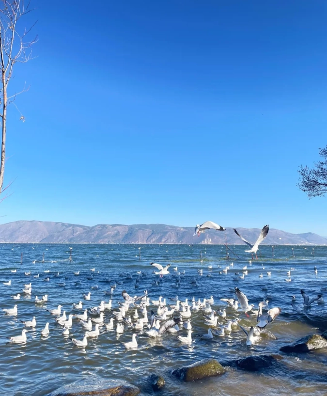 Dali itinerary Dali itinerary