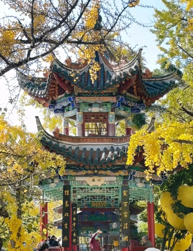 budget travel kunming