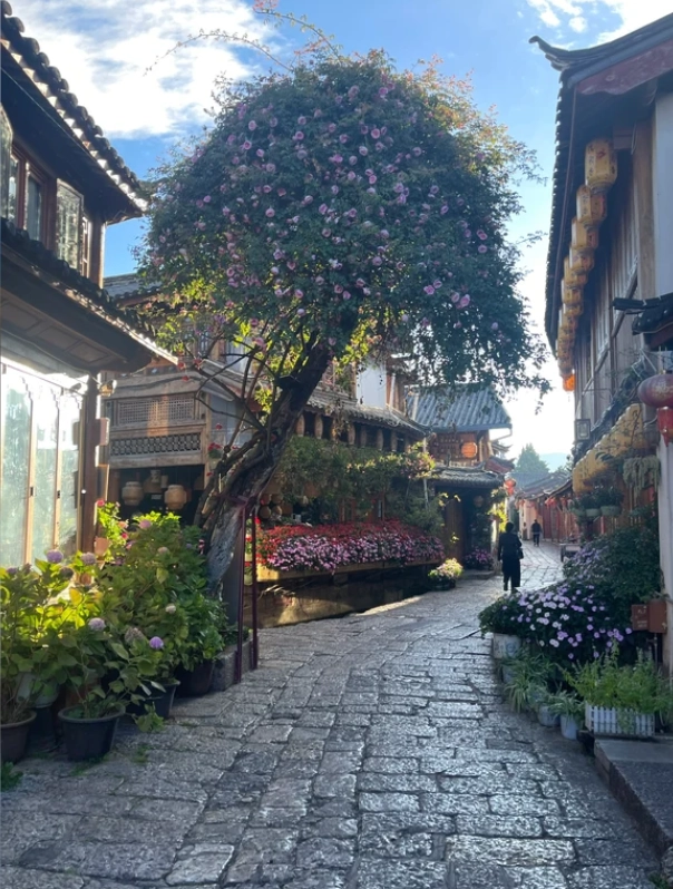 things to do in Lijiang