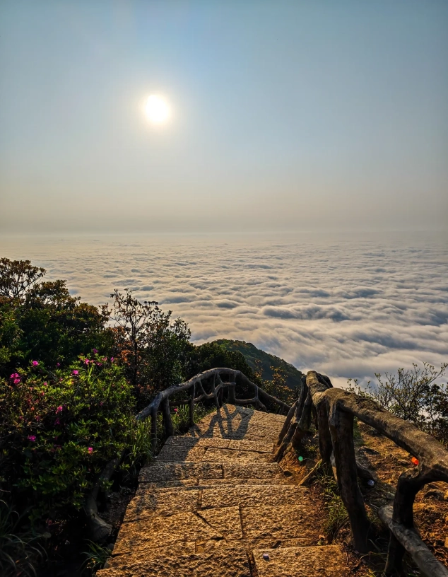 things to do in Shenzhen