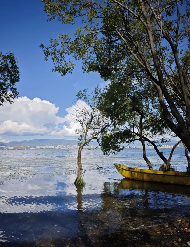 How to Travel Around Dali: Avoid Crowds, Ride Smart, Eat Well