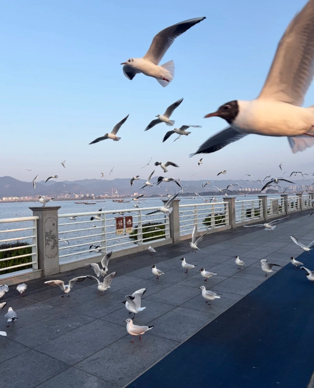 budget hotels in Kunming budget hotels in Kunming