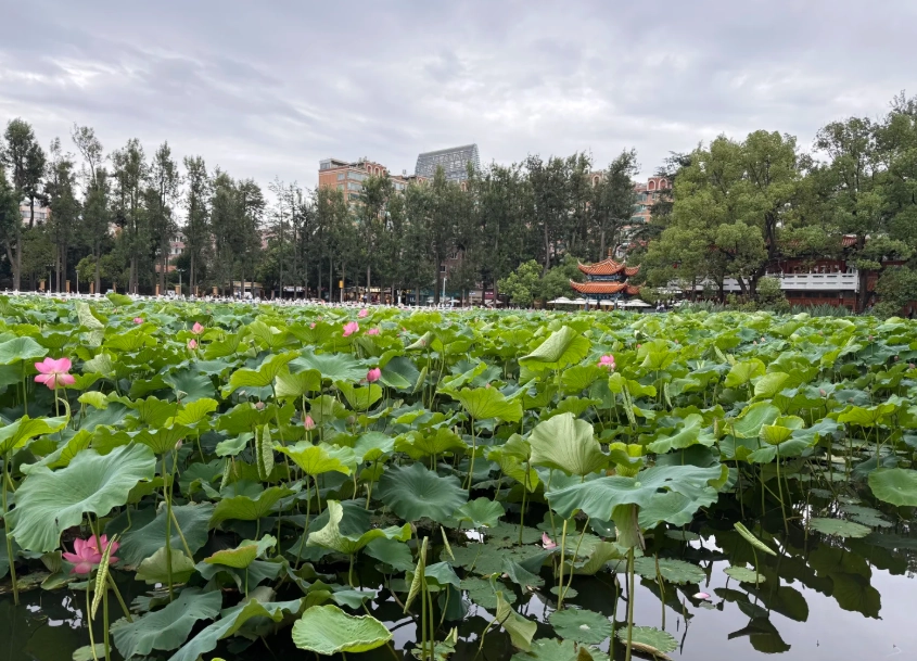 kunming changshui airport layover kunming changshui airport layover