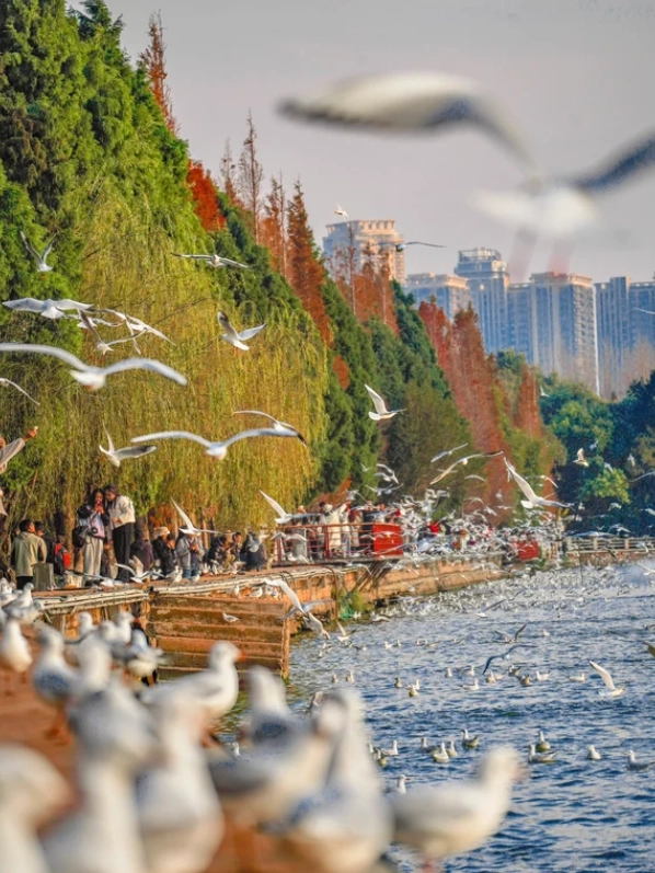 kunming packing list kunming packing list
