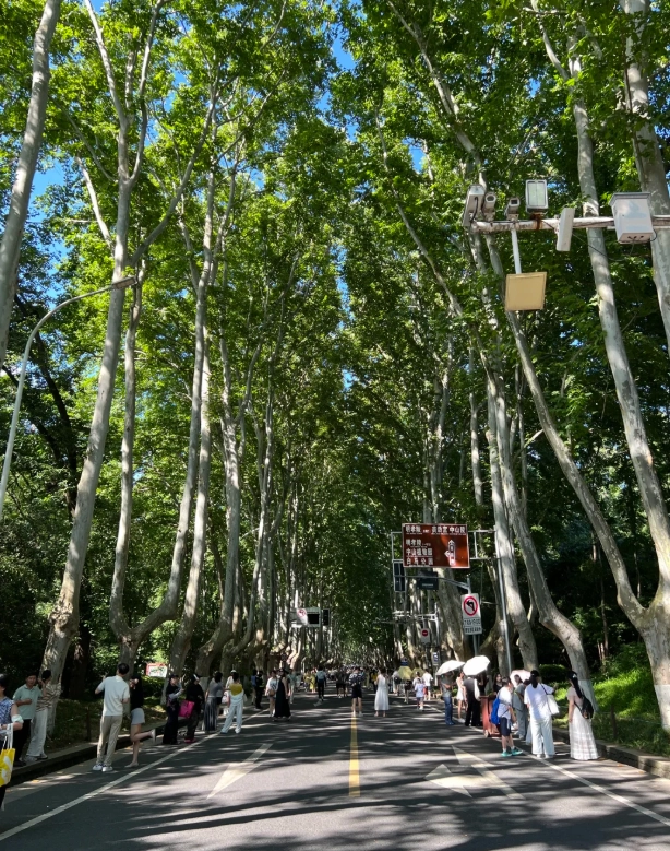 Nanjing attractions Nanjing attractions