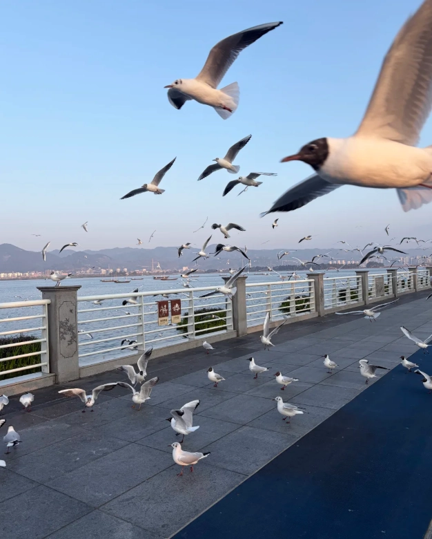 kunming free activities