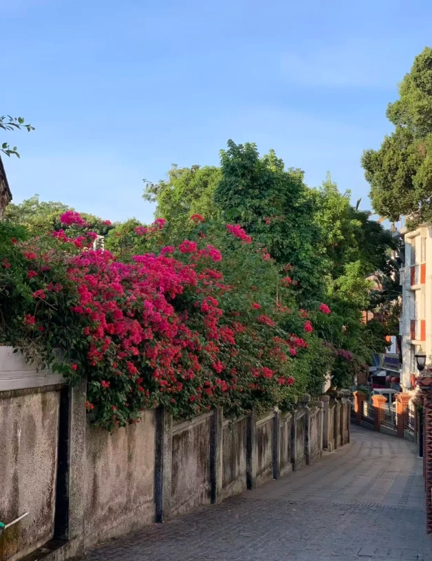 what to do in xiamen for a weekend what to do in xiamen for a weekend