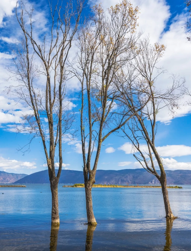 dali itinerary budget dali itinerary budget