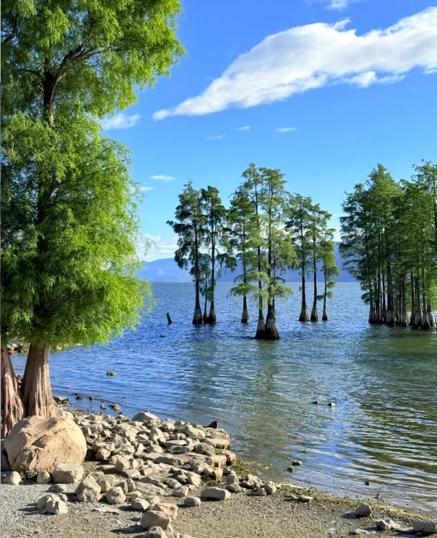 dali autumn itinerary dali autumn itinerary