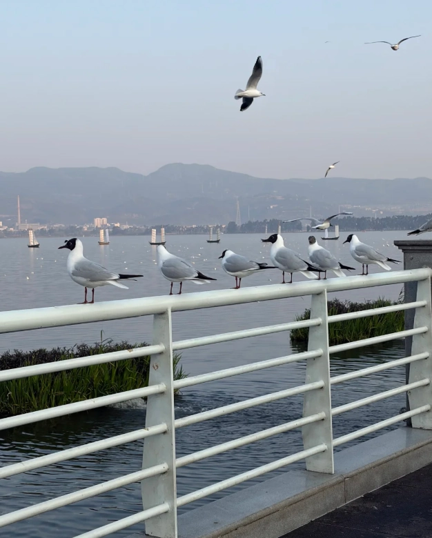 Kunming travel budget Kunming travel budget