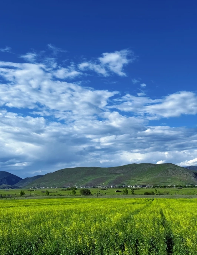 things to do in shangri-la