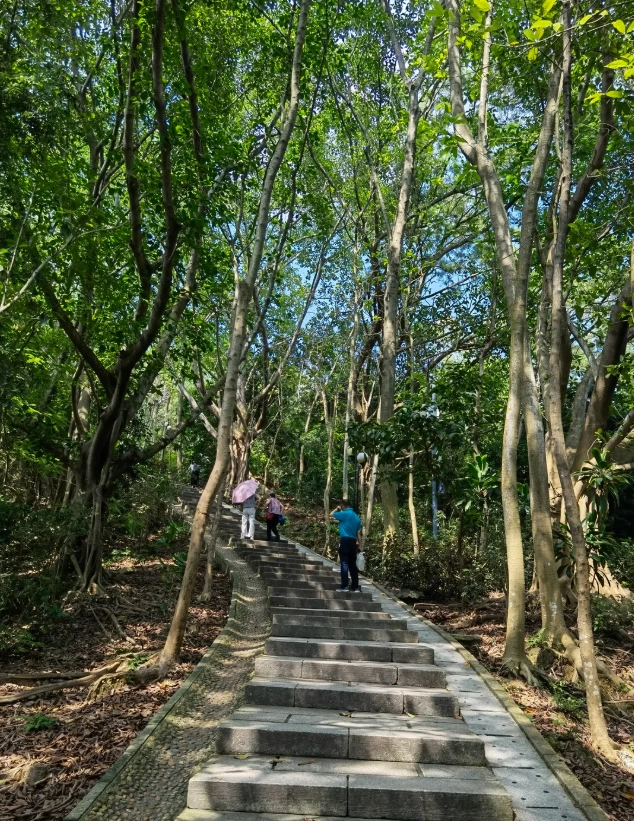 shenzhen weekend itinerary