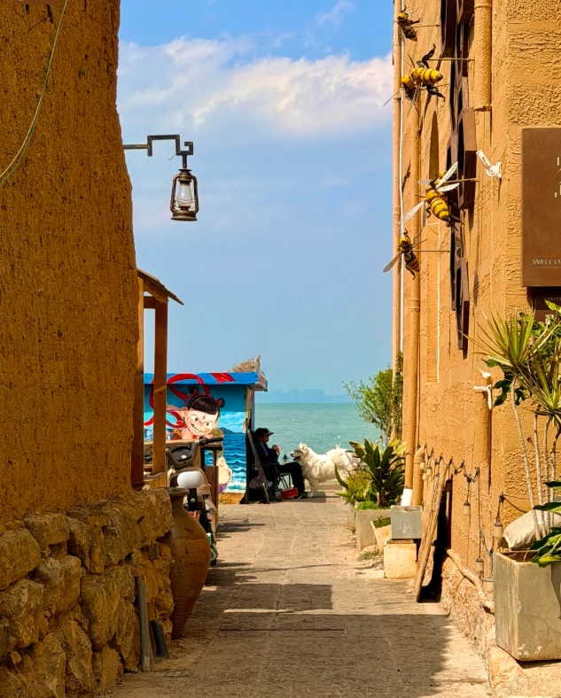 Kunming travel tips