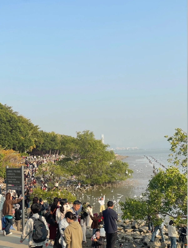 things to do in shenzhen things to do in shenzhen