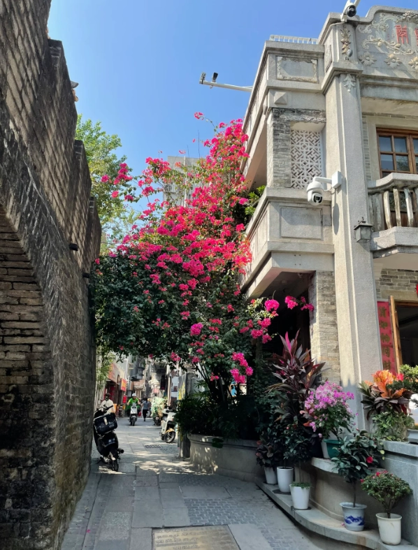shenzhen 2 day itinerary shenzhen 2 day itinerary
