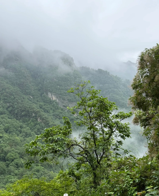wudang mountains best season wudang mountains best season